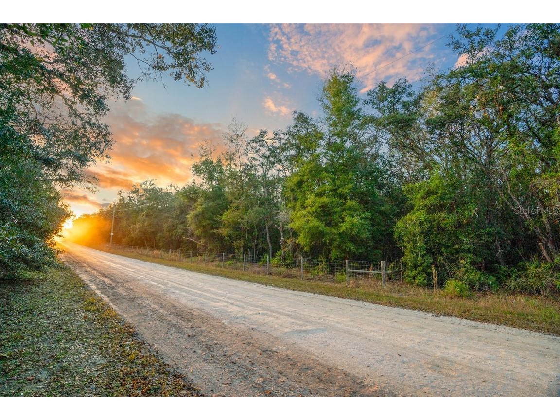 TBD Rim Rock Street Webster FL 33597 OM691830 image1