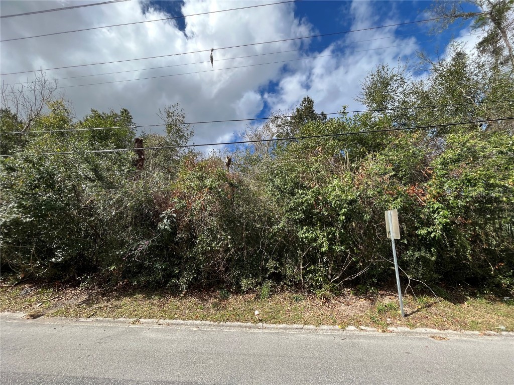 TBD S 12th Street Palatka FL 32177 OK222477 image1