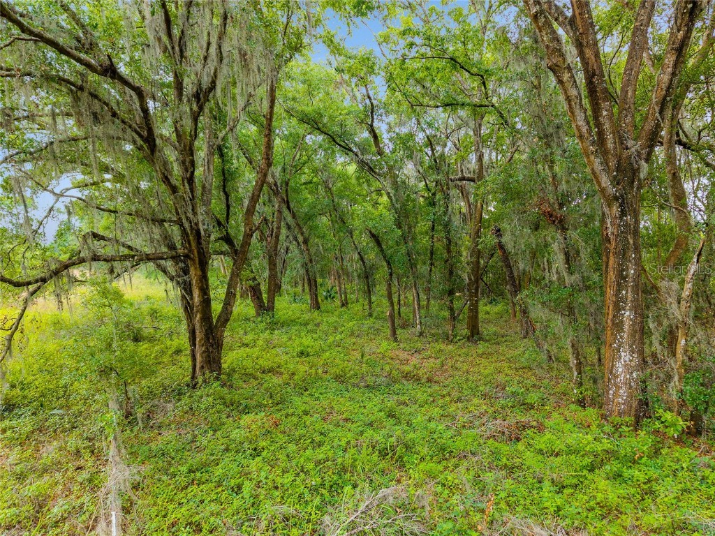 TBD S Highway 301 Summerfield FL 34491 OM703770 image11