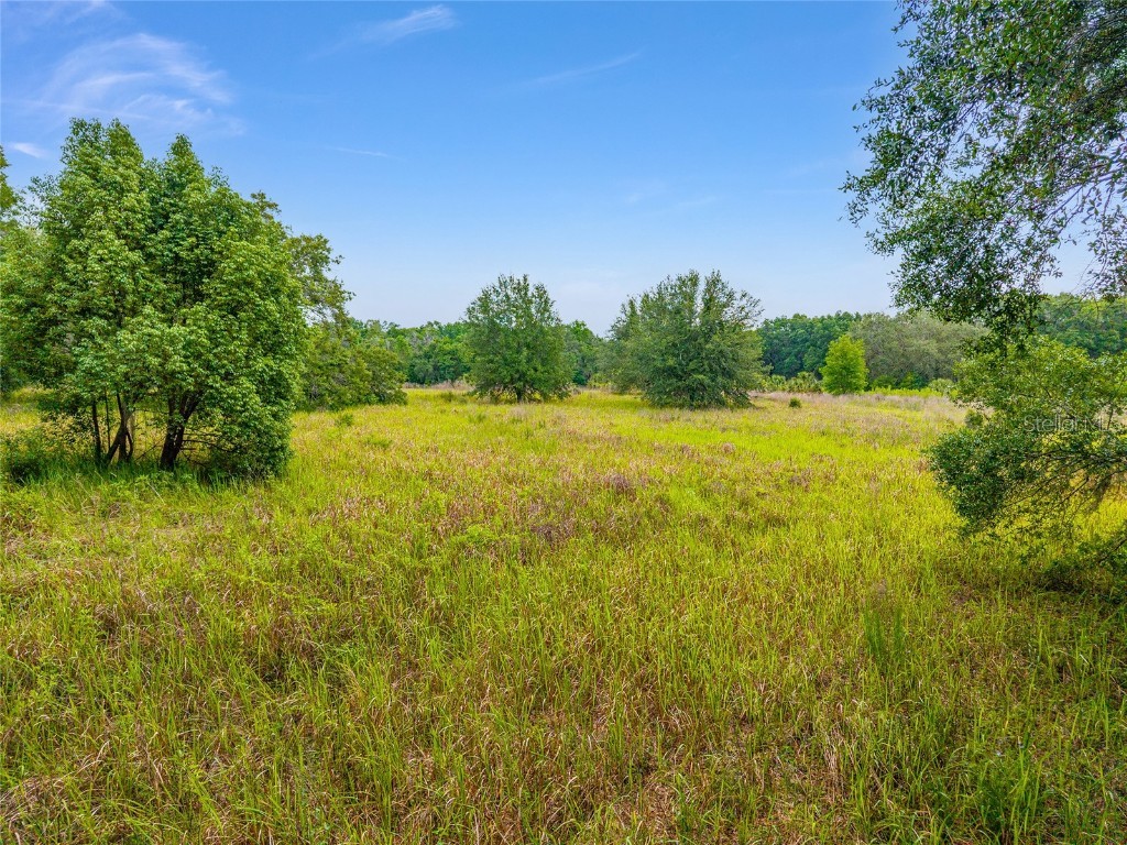 TBD S Highway 301 Summerfield FL 34491 OM703770 image12