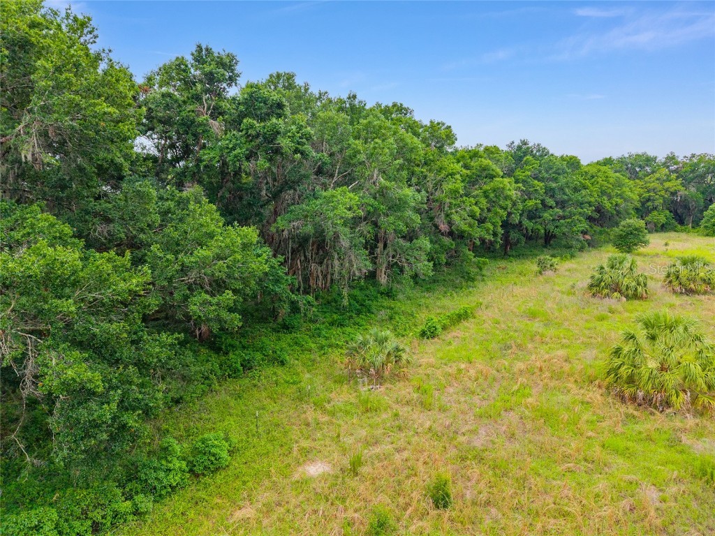 TBD S Highway 301 Summerfield FL 34491 OM703770 image13