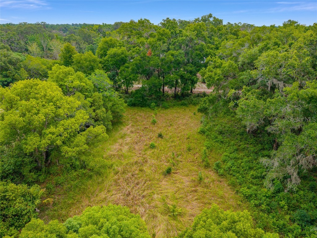 TBD S Highway 301 Summerfield FL 34491 OM703770 image14