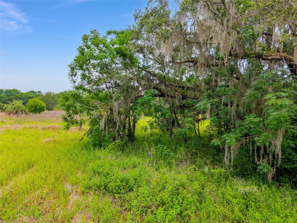 TBD S Highway 301 Summerfield FL 34491 OM703770 image15