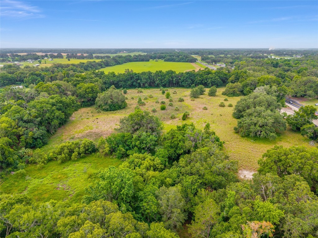 TBD S Highway 301 Summerfield FL 34491 OM703770 image20