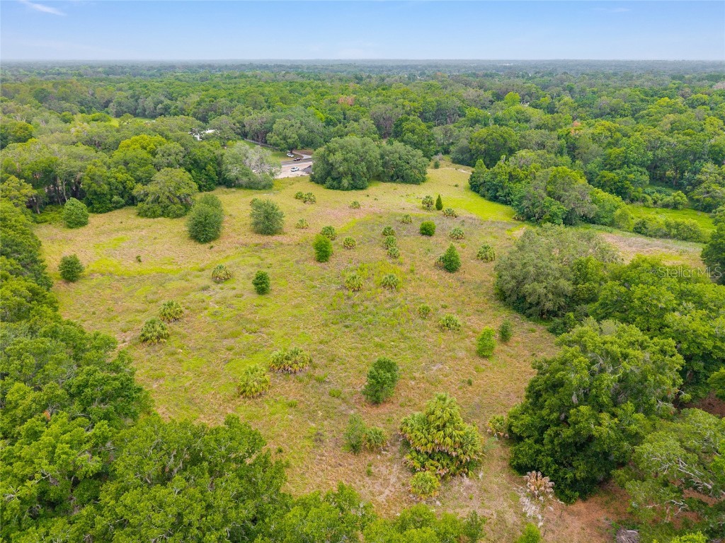 TBD S Highway 301 Summerfield FL 34491 OM703770 image21