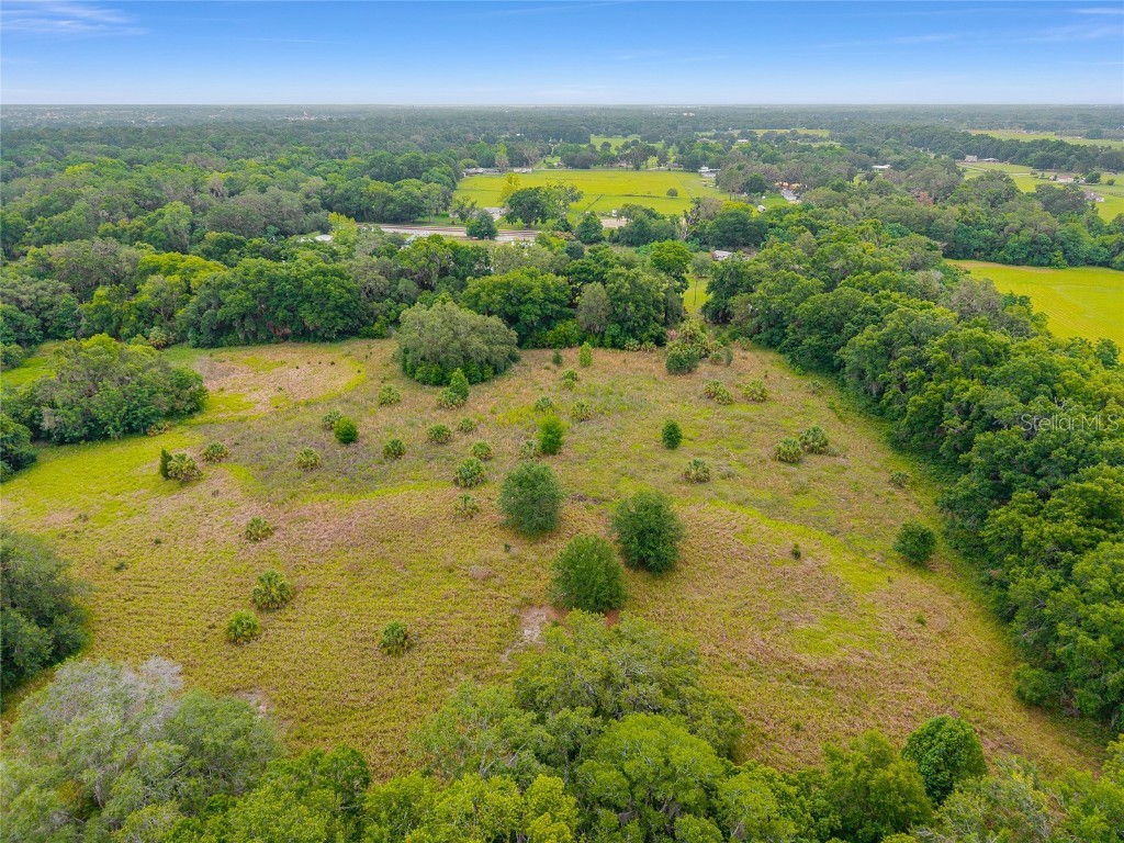 TBD S Highway 301 Summerfield FL 34491 OM703770 image3