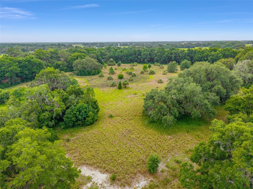 TBD S Highway 301 Summerfield FL 34491 OM703770 image4