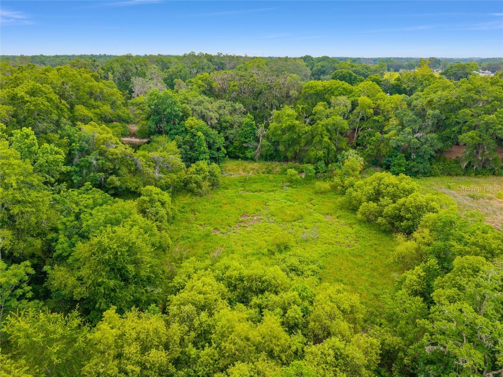 TBD S Highway 301 Summerfield FL 34491 OM703770 image5