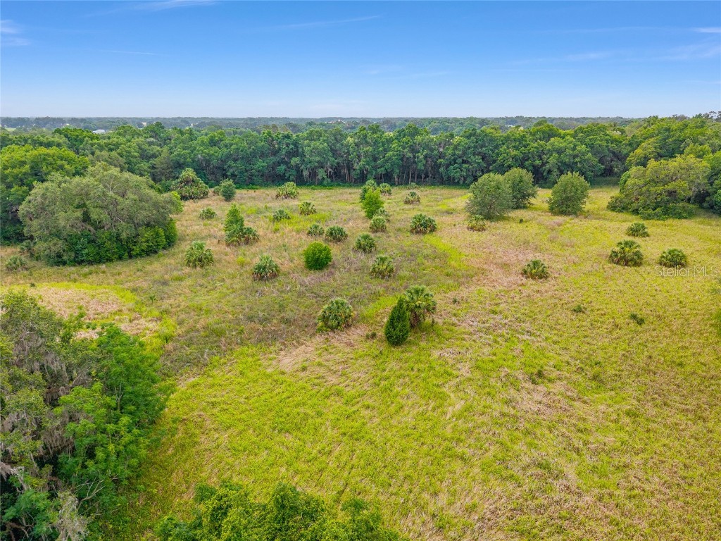 TBD S Highway 301 Summerfield FL 34491 OM703770 image6