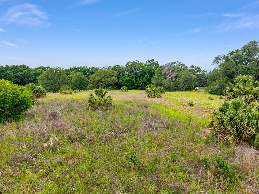 TBD S Highway 301 Summerfield FL 34491 OM703770 image7