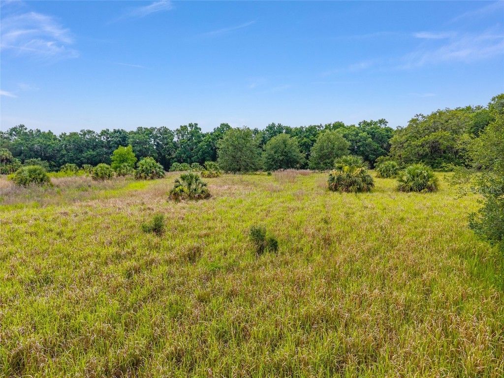 TBD S Highway 301 Summerfield FL 34491 OM703770 image8