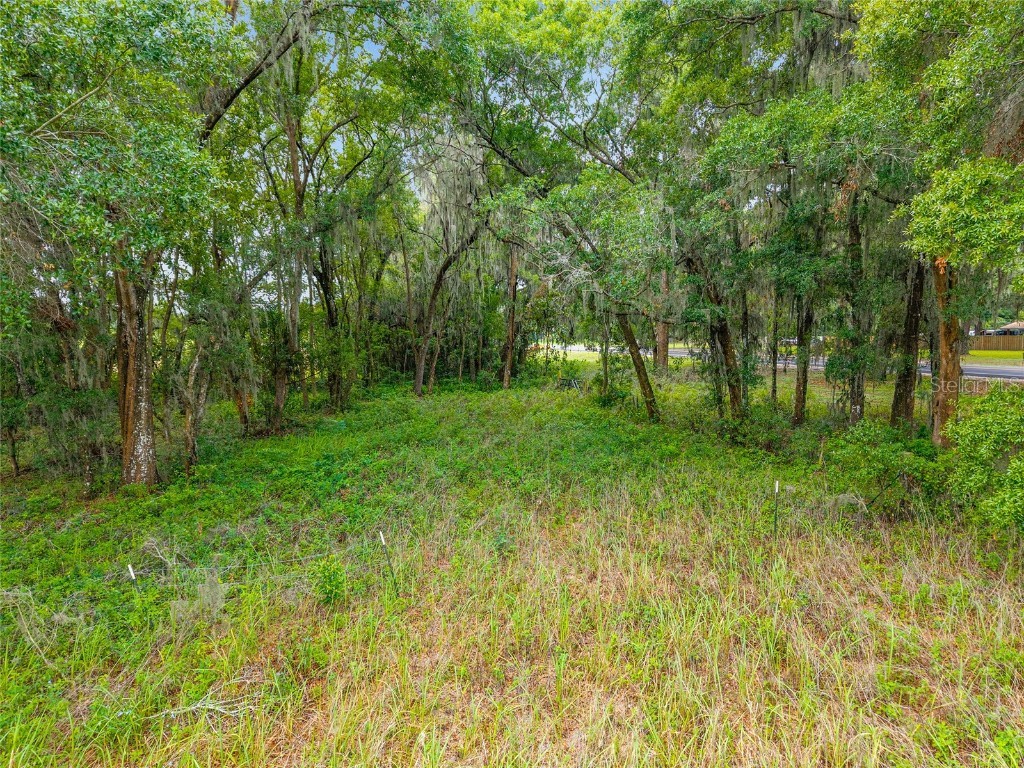 TBD S Highway 301 Summerfield FL 34491 OM703770 image9