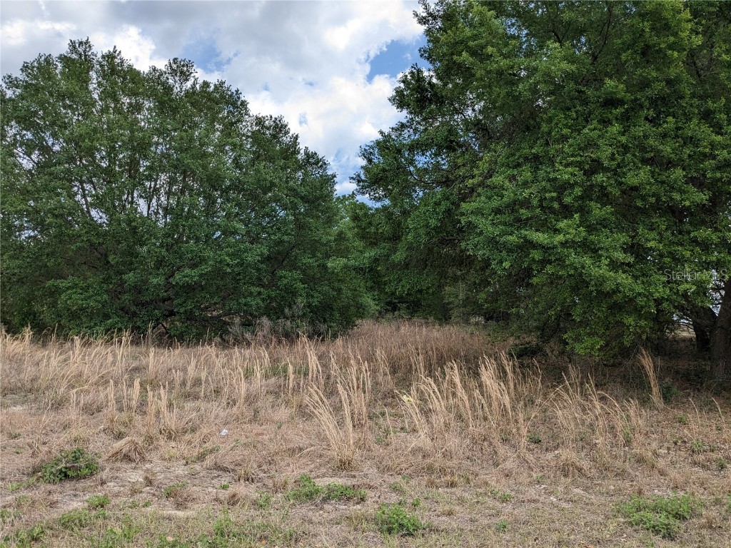 TBD S Hwy 25 Weirsdale FL 32195 G5066330 image1