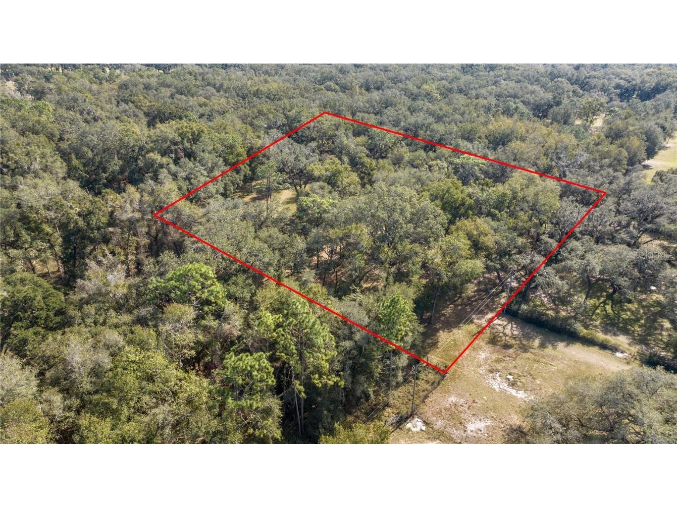 TBD S Hwy 301 Webster FL 33597 OM692656 image1