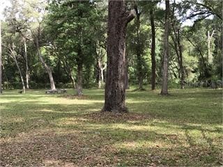 TBD S Hwy 301 Webster FL 33597 OM692656 image2