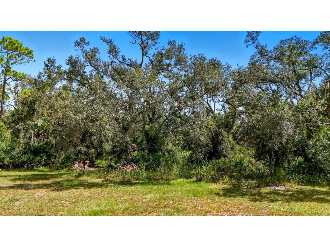 344 S Moon Drive Venice FL 34292 C7515786 image6