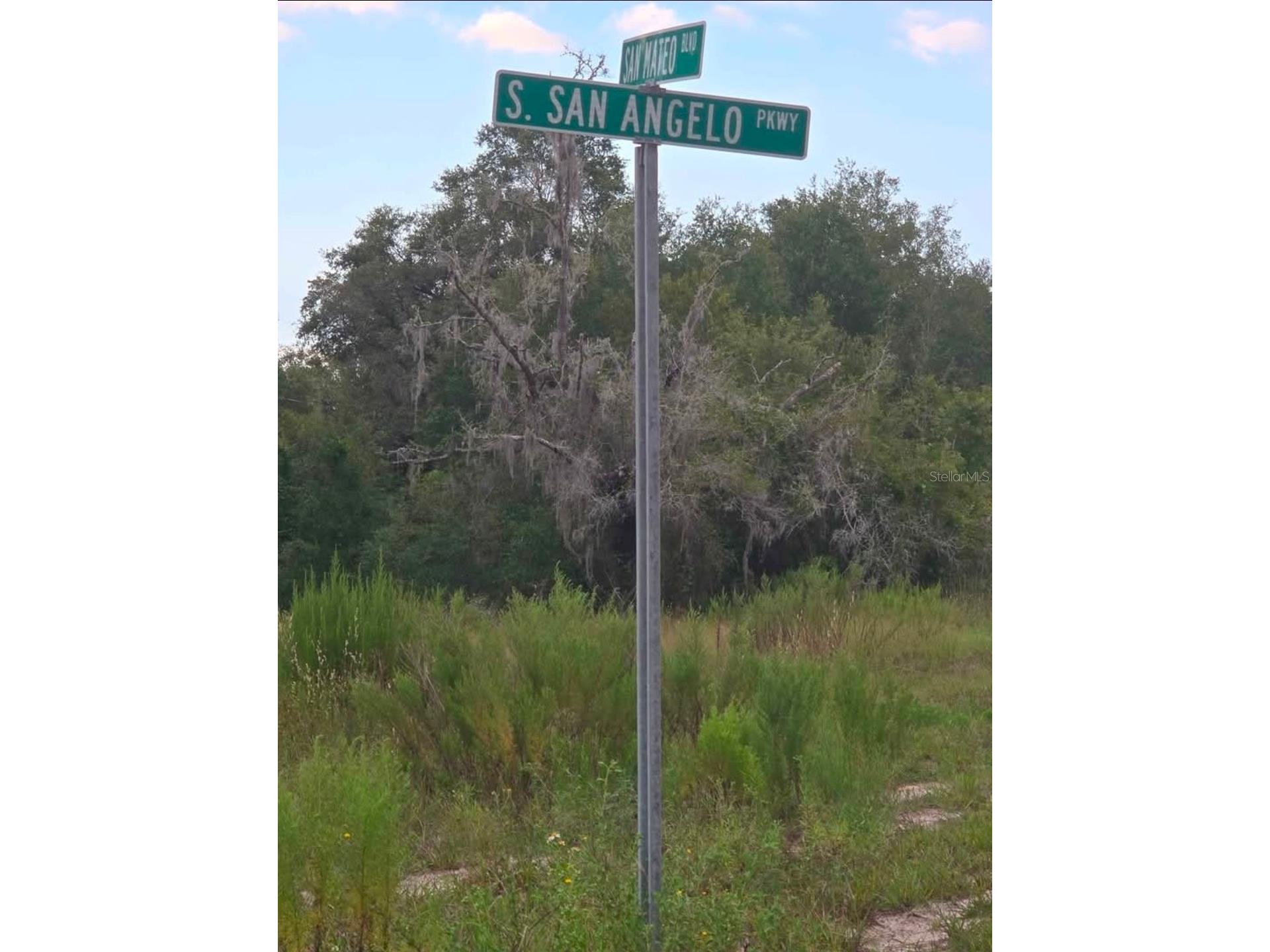 TBD S San Angelo Parkway Dunnellon FL 34432 OM708786 image1