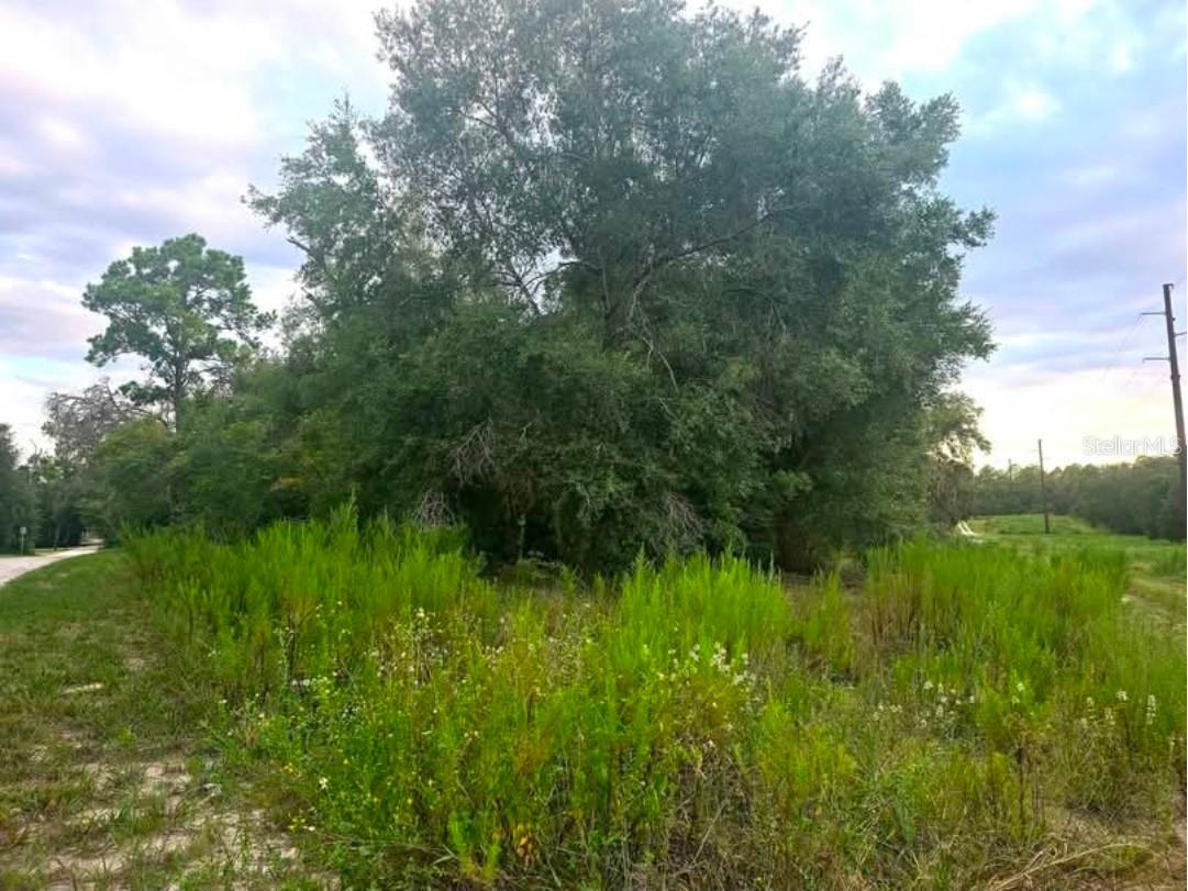 TBD S San Angelo Parkway Dunnellon FL 34432 OM708786 image2