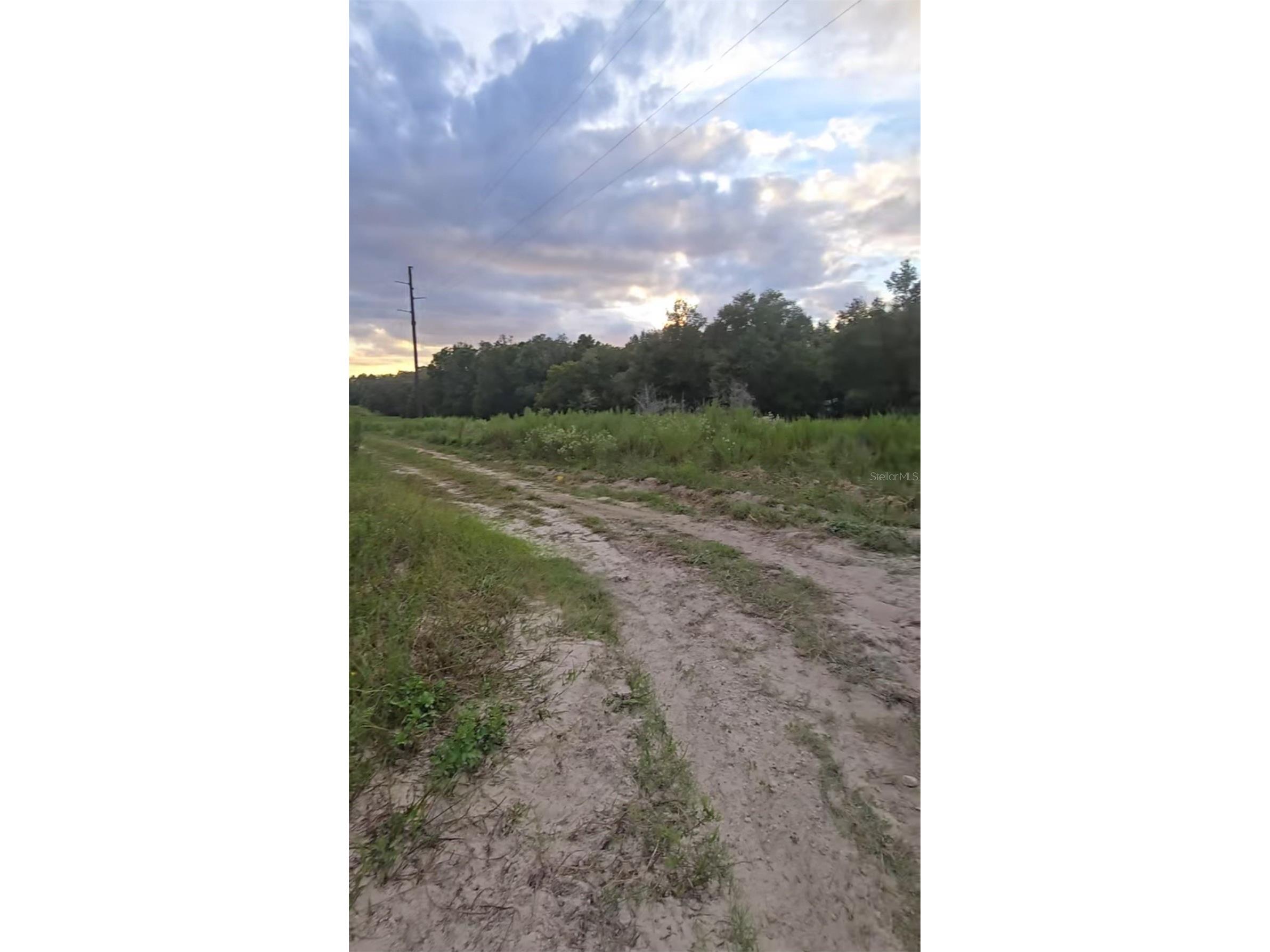 TBD S San Angelo Parkway Dunnellon FL 34432 OM708786 image6