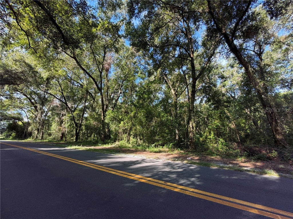 TBD S St Clair St Wildwood FL 34785 G5102414 image1