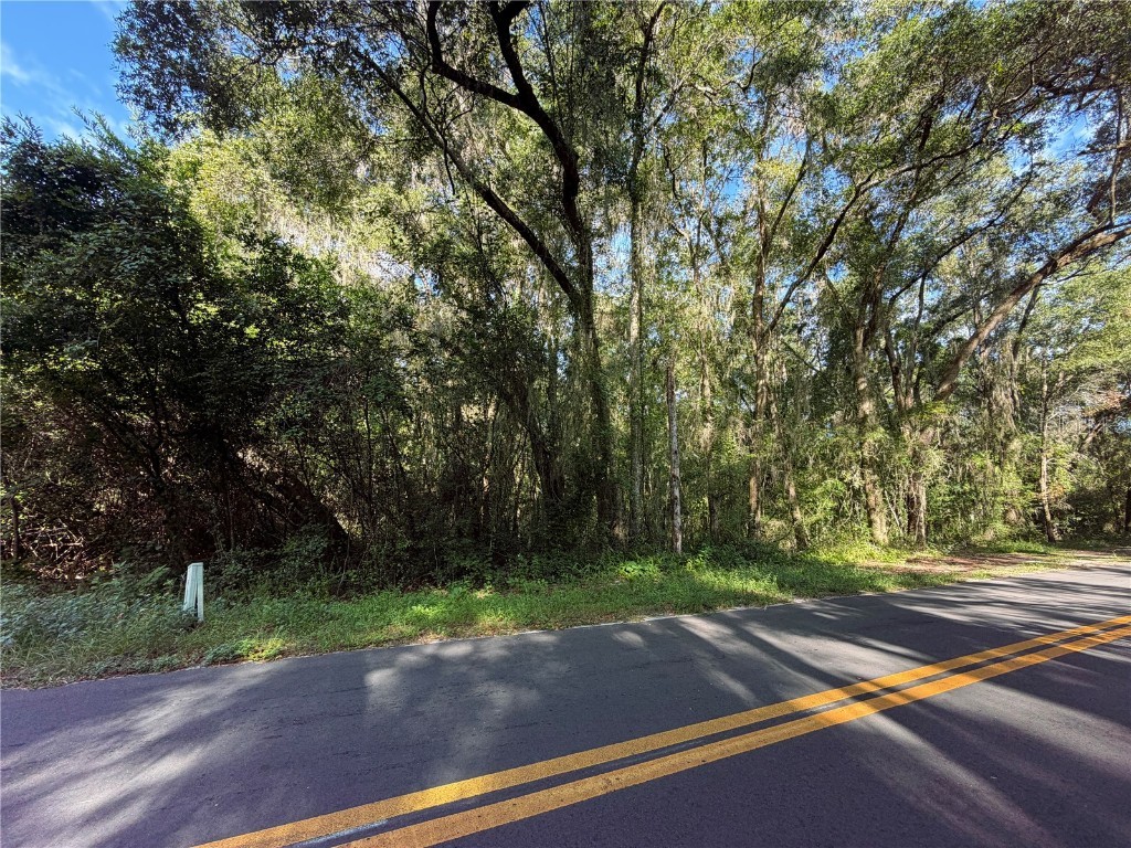 TBD S St Clair St Wildwood FL 34785 G5102414 image2