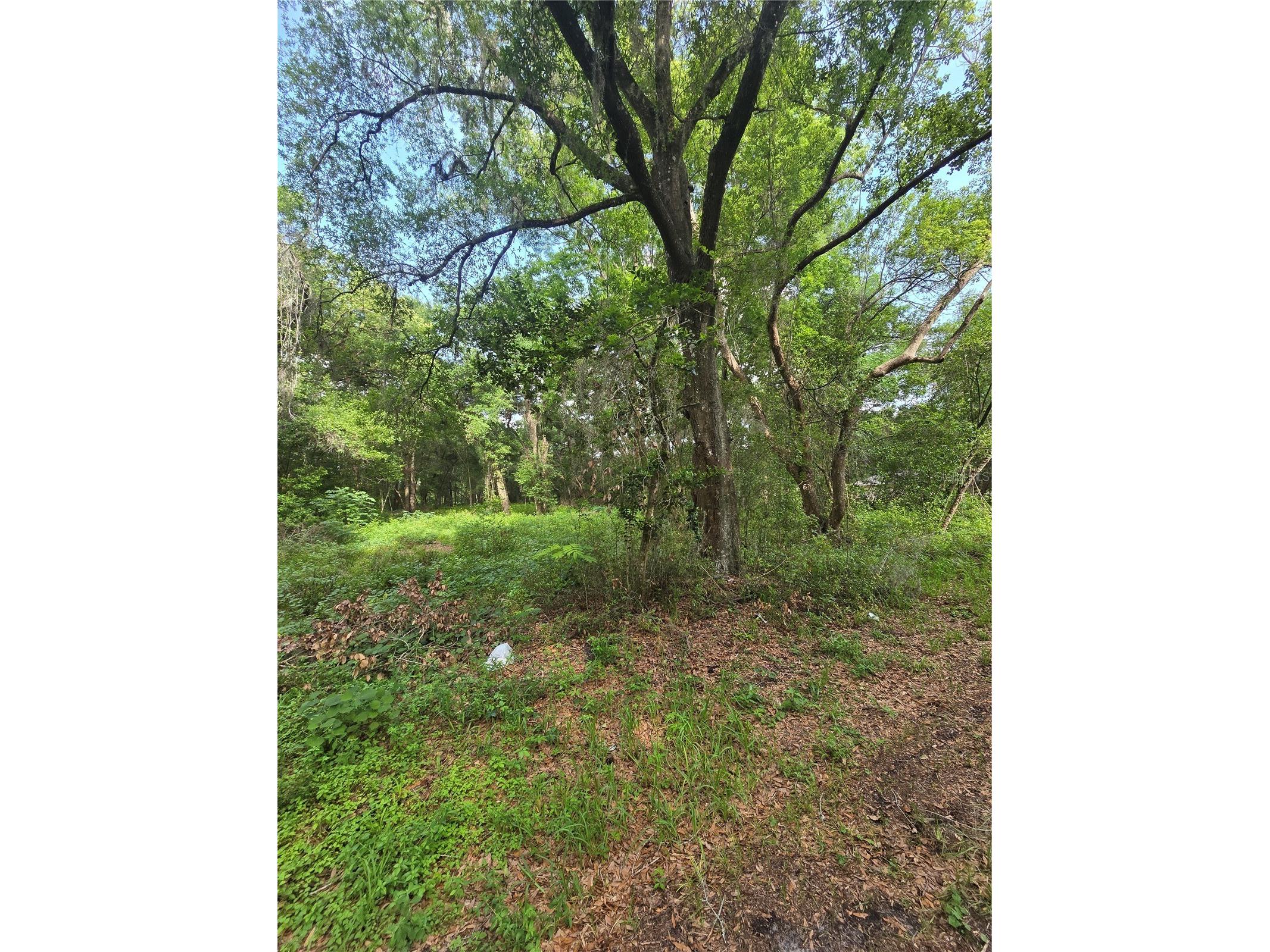 TBD S St Clair Street Wildwood FL 34785 OM721490 image4