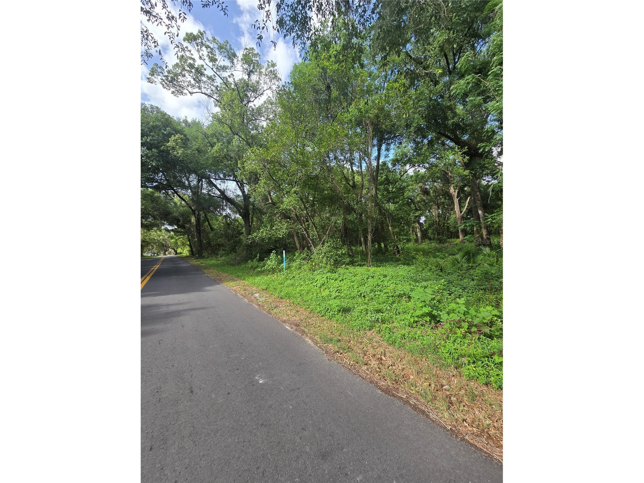 TBD S St Clair Street Wildwood FL 34785 OM721490 image6