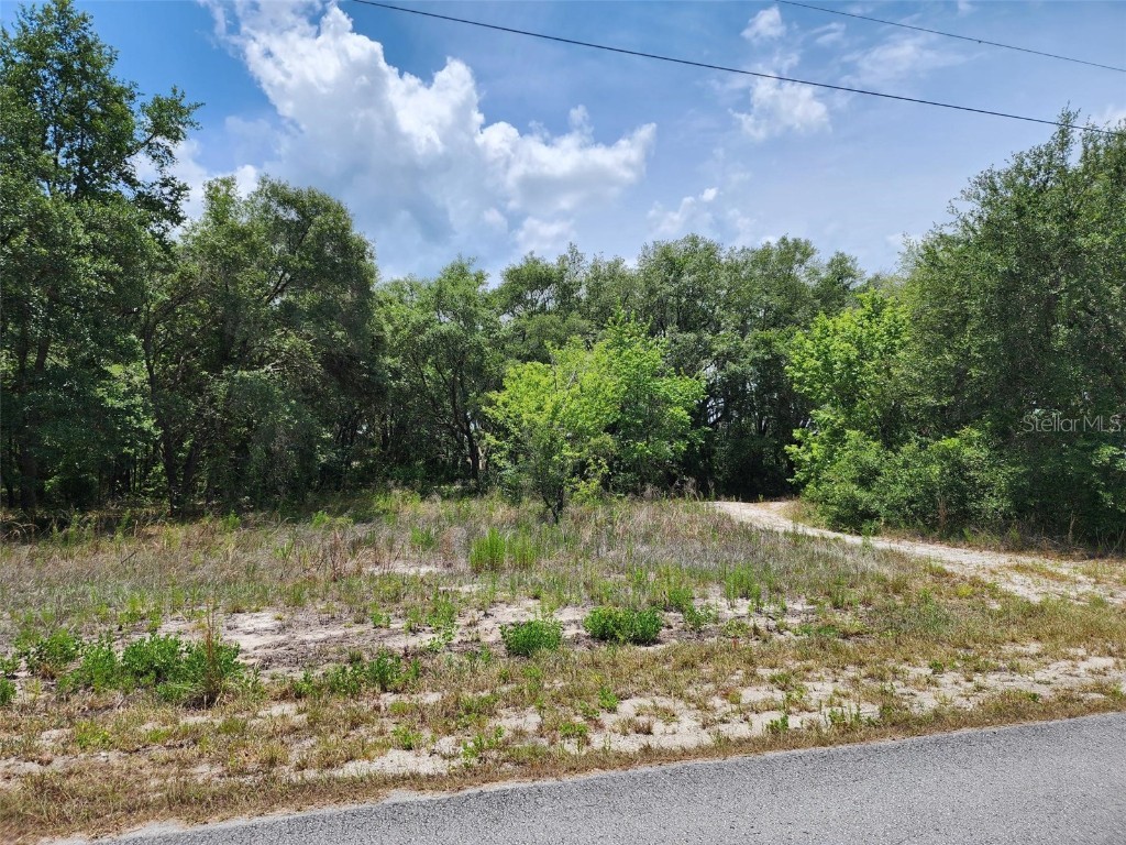 TBD Sailboat Drive Dunnellon FL 34431 OM702641 image1