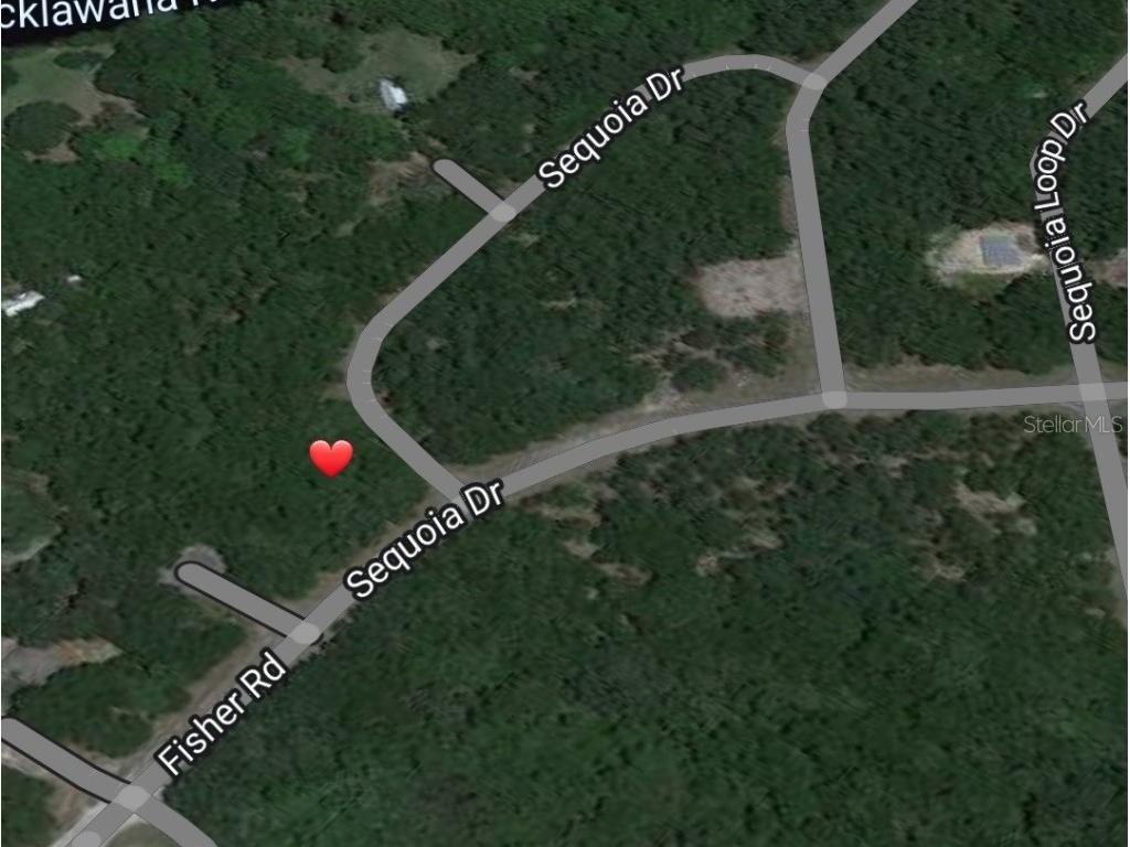 TBD SE 100th Place Ocklawaha FL 32179 OM639221 image1