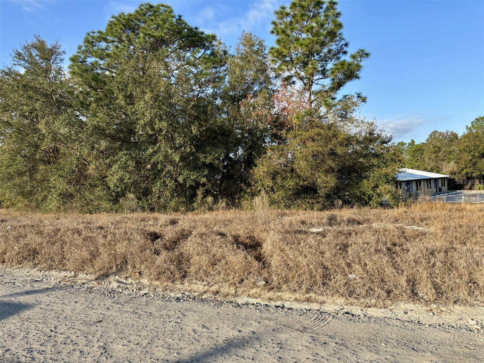 TBD SE 102nd Terrace Belleview FL 34420 G5108430 image1