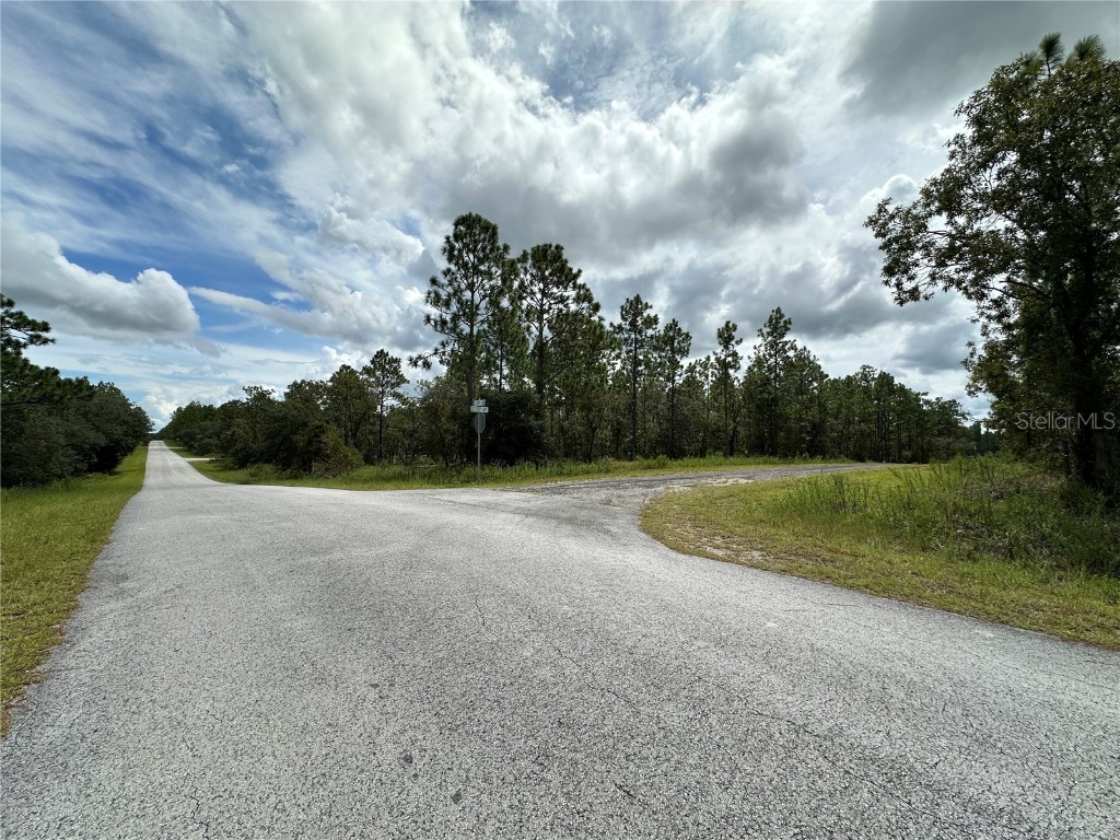 TBD SE 105th Lane Dunnellon FL 34431 OM709867 image2