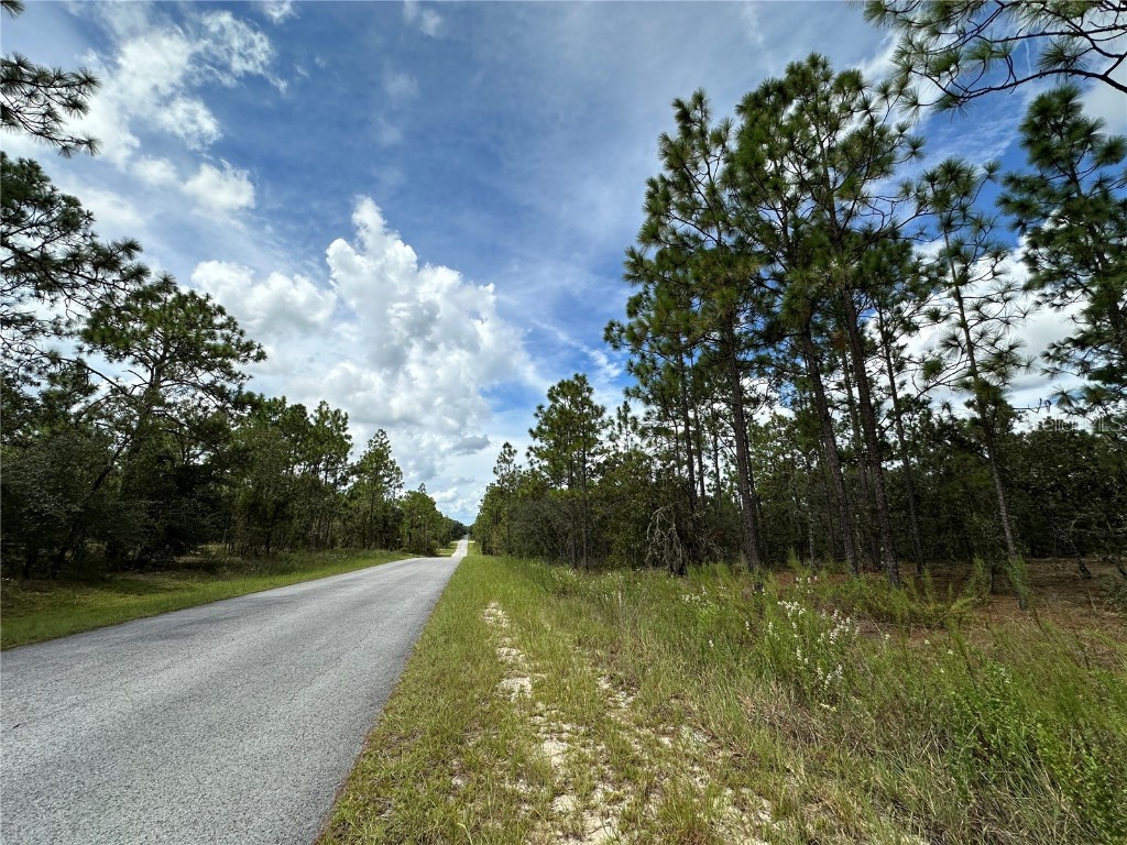 TBD SE 105th Lane Dunnellon FL 34431 OM709867 image3