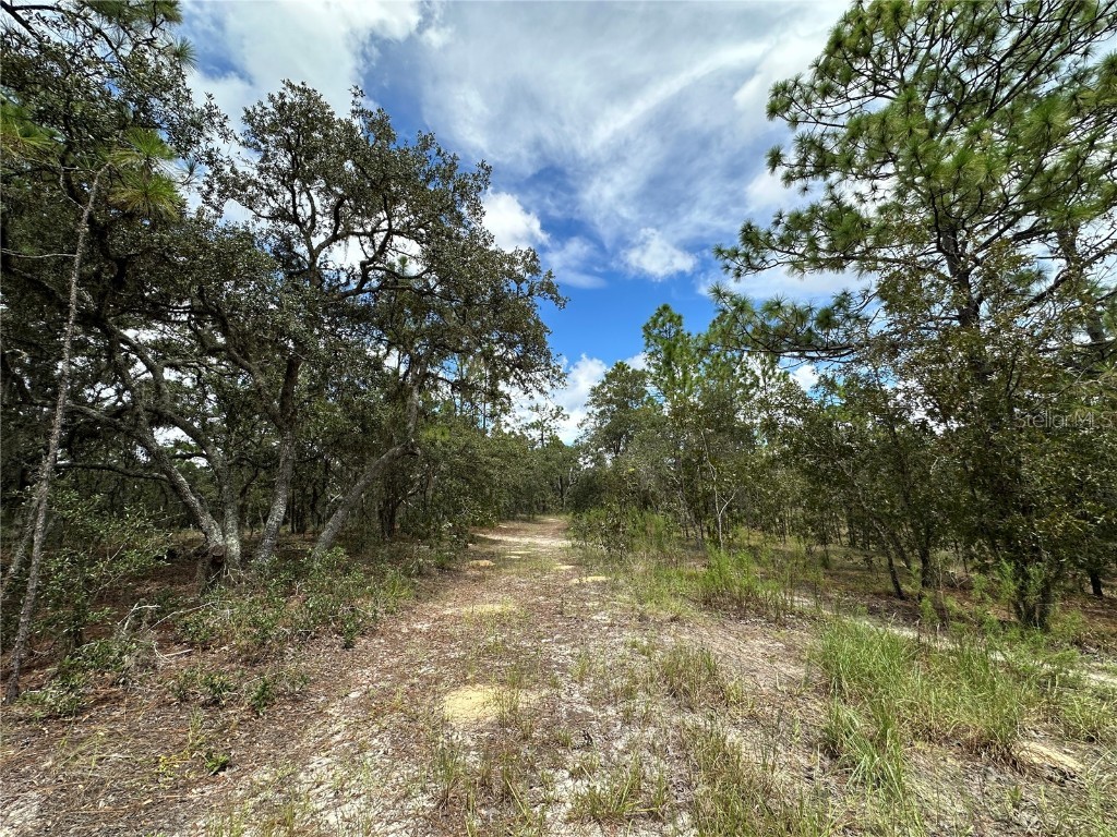 TBD SE 105th Lane Dunnellon FL 34431 OM709867 image4