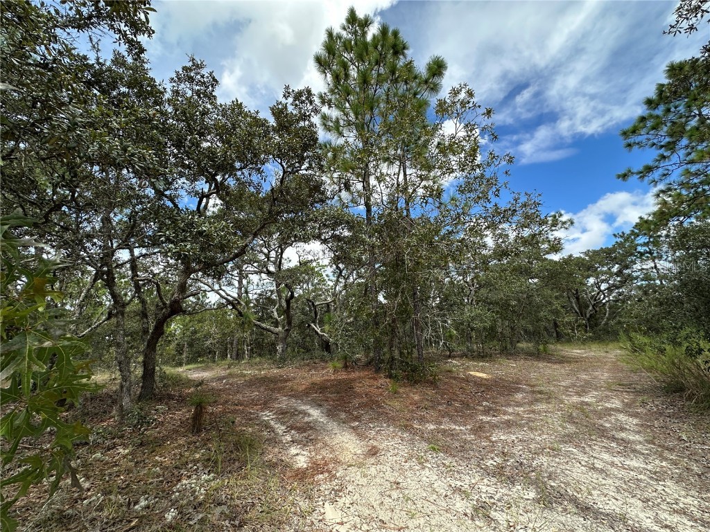 TBD SE 105th Lane Dunnellon FL 34431 OM709867 image5