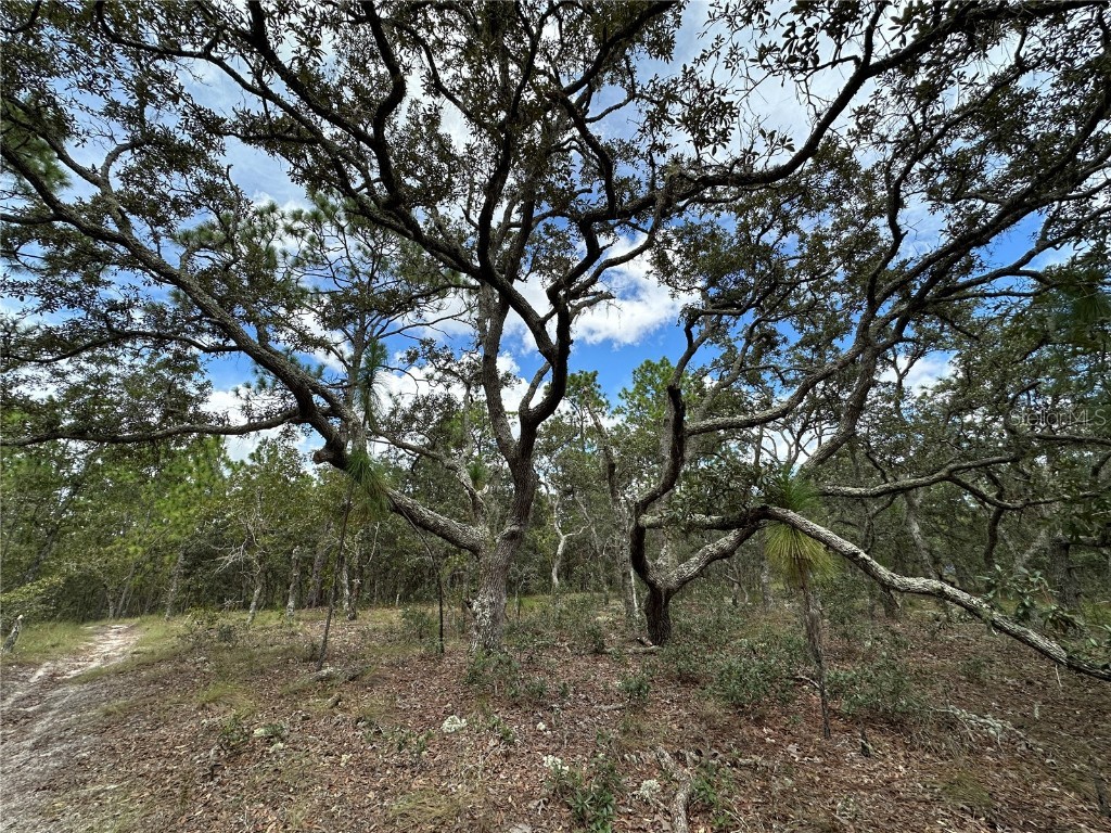 TBD SE 105th Lane Dunnellon FL 34431 OM709867 image6