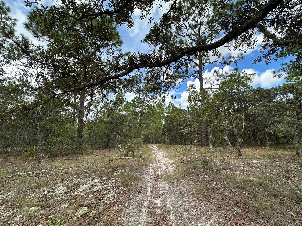 TBD SE 105th Lane Dunnellon FL 34431 OM709867 image7