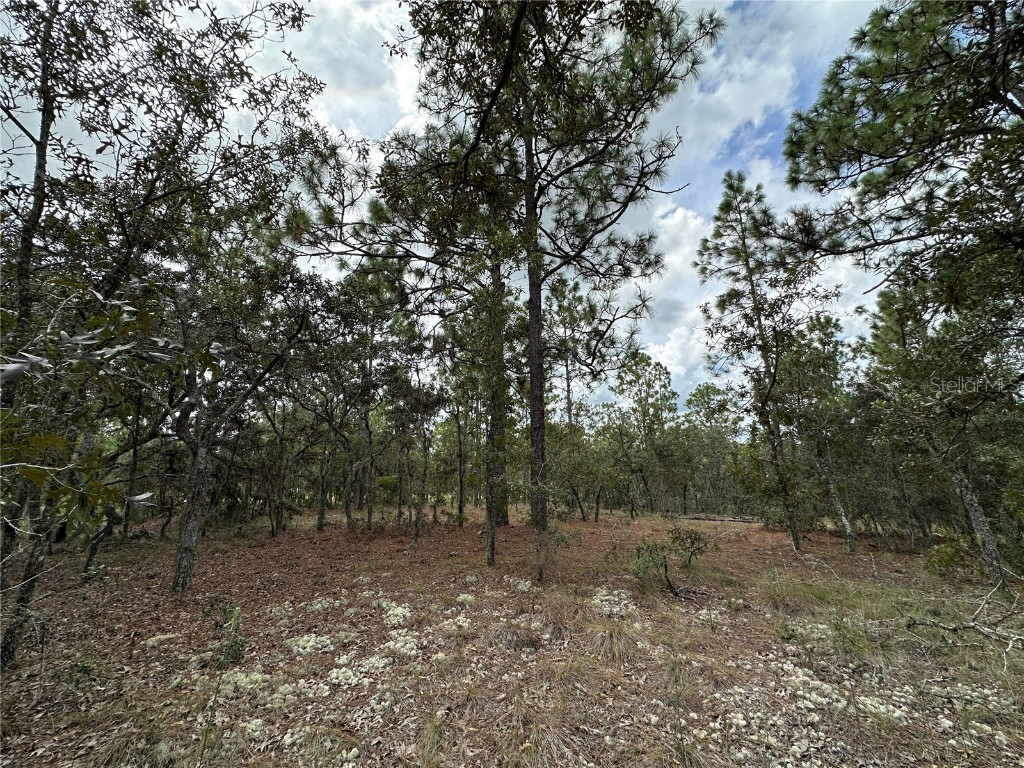 TBD SE 105th Lane Dunnellon FL 34431 OM709867 image8