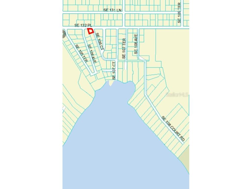 TBD SE 106th Court Ocklawaha FL 32179 OM666934 image1