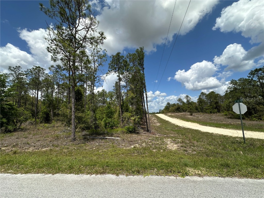 TBD SE 10th St And Se 148th Terrace Williston FL 32696 OM699261 image1