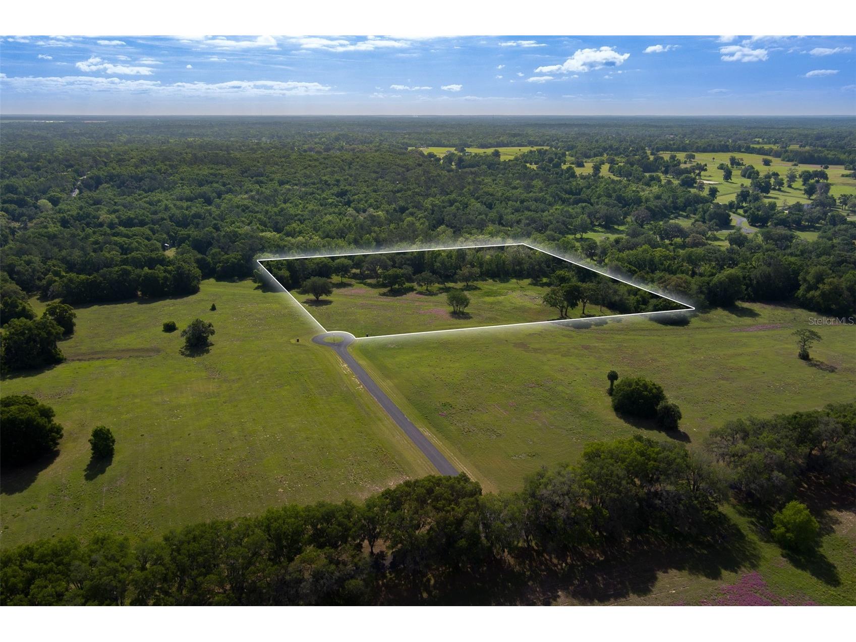 TBD SE 111th Place Ocala FL 34480 OM722387 image1