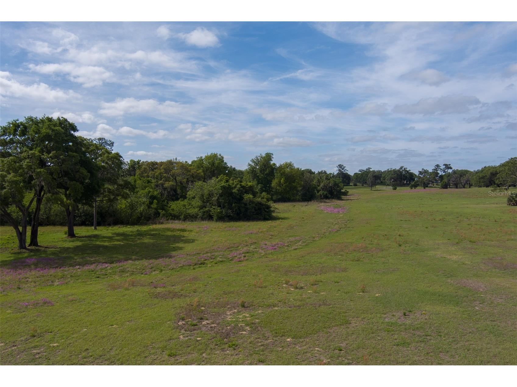 TBD SE 111th Place Ocala FL 34480 OM722387 image10
