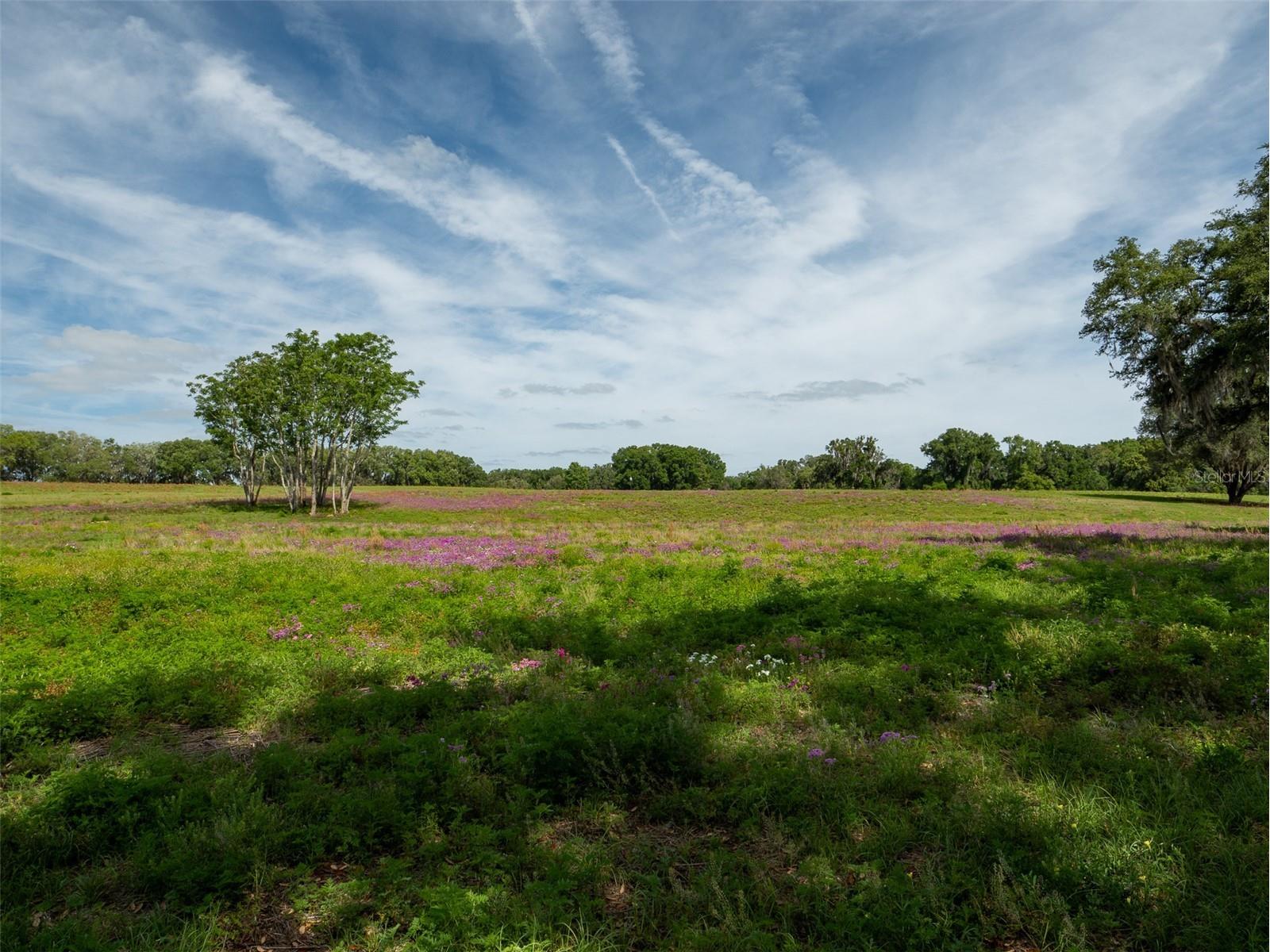 TBD SE 111th Place Ocala FL 34480 OM722387 image12