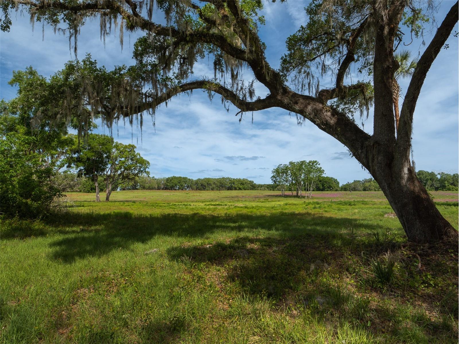 TBD SE 111th Place Ocala FL 34480 OM722387 image13
