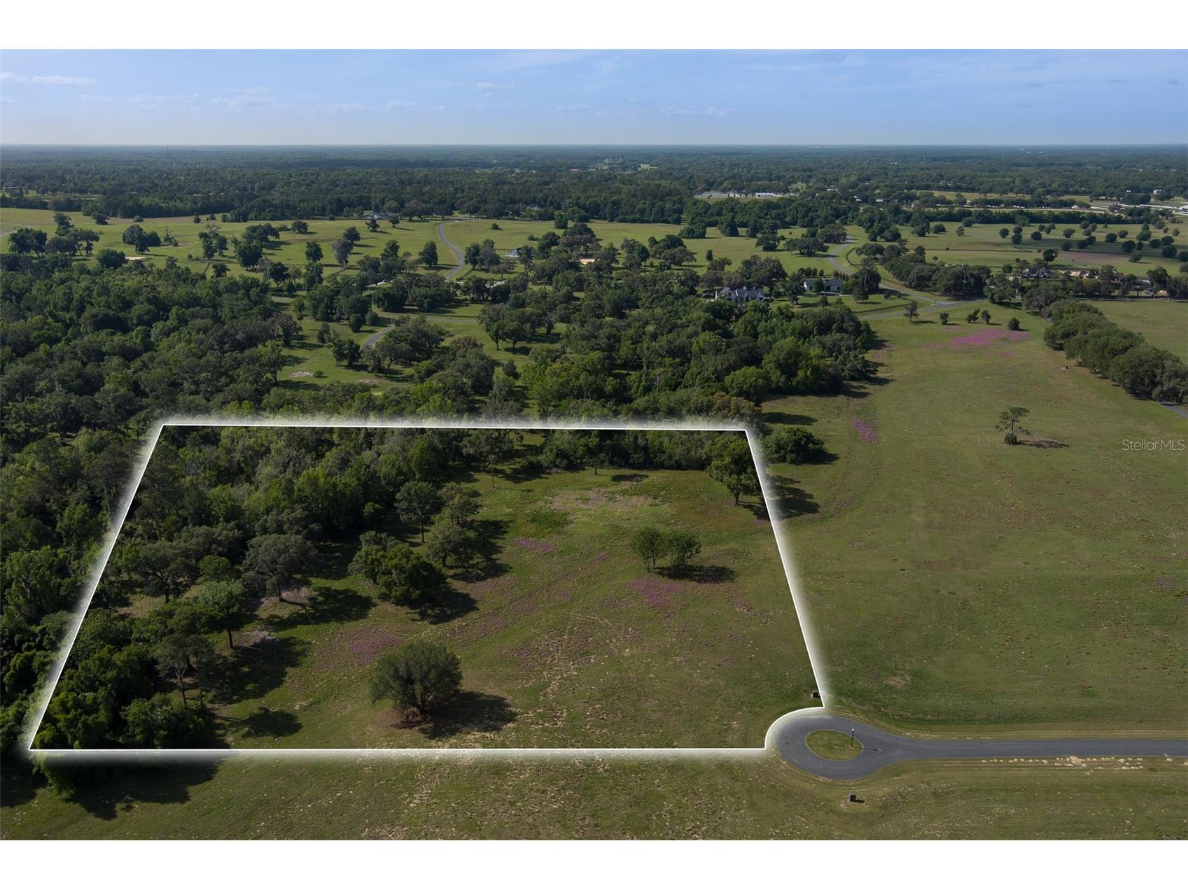 TBD SE 111th Place Ocala FL 34480 OM722387 image2
