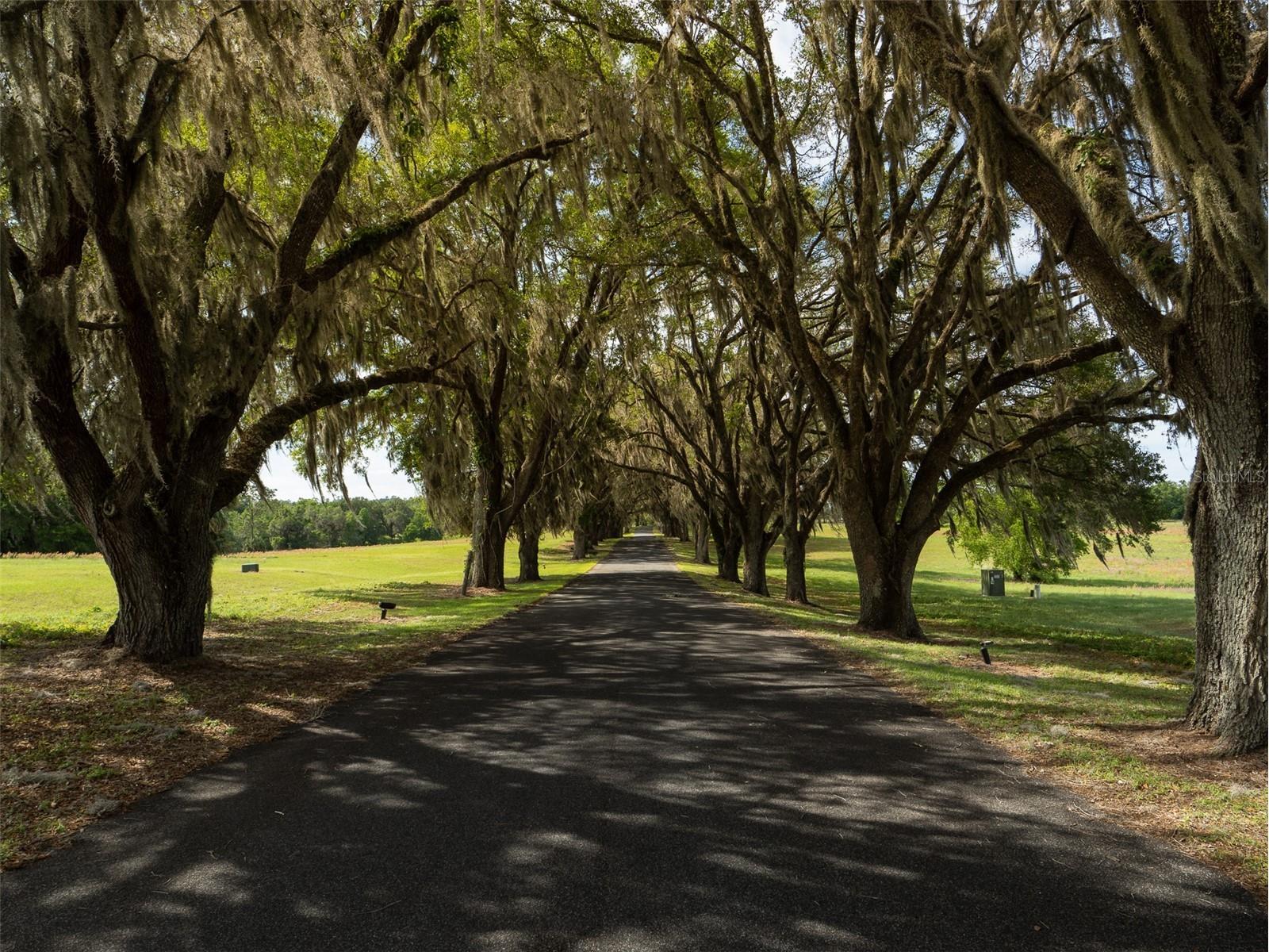 TBD SE 111th Place Ocala FL 34480 OM722387 image5