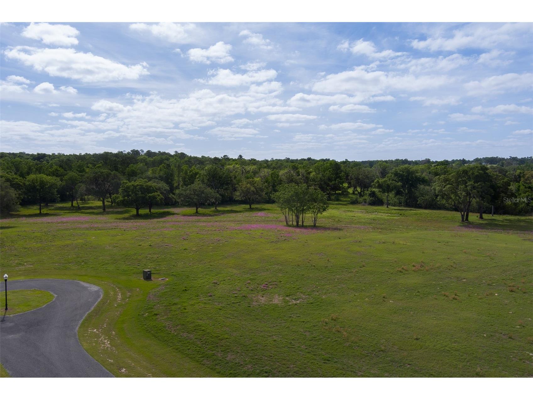 TBD SE 111th Place Ocala FL 34480 OM722387 image6