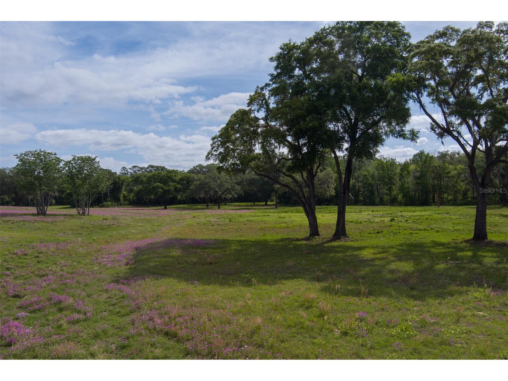 TBD SE 111th Place Ocala FL 34480 OM722387 image9