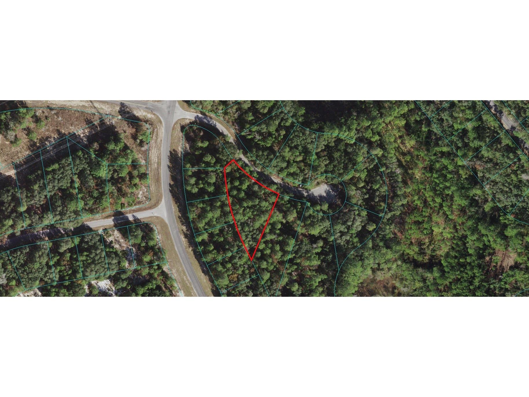 TBD SE 113th Ocklawaha FL 32179 OM626811 image1