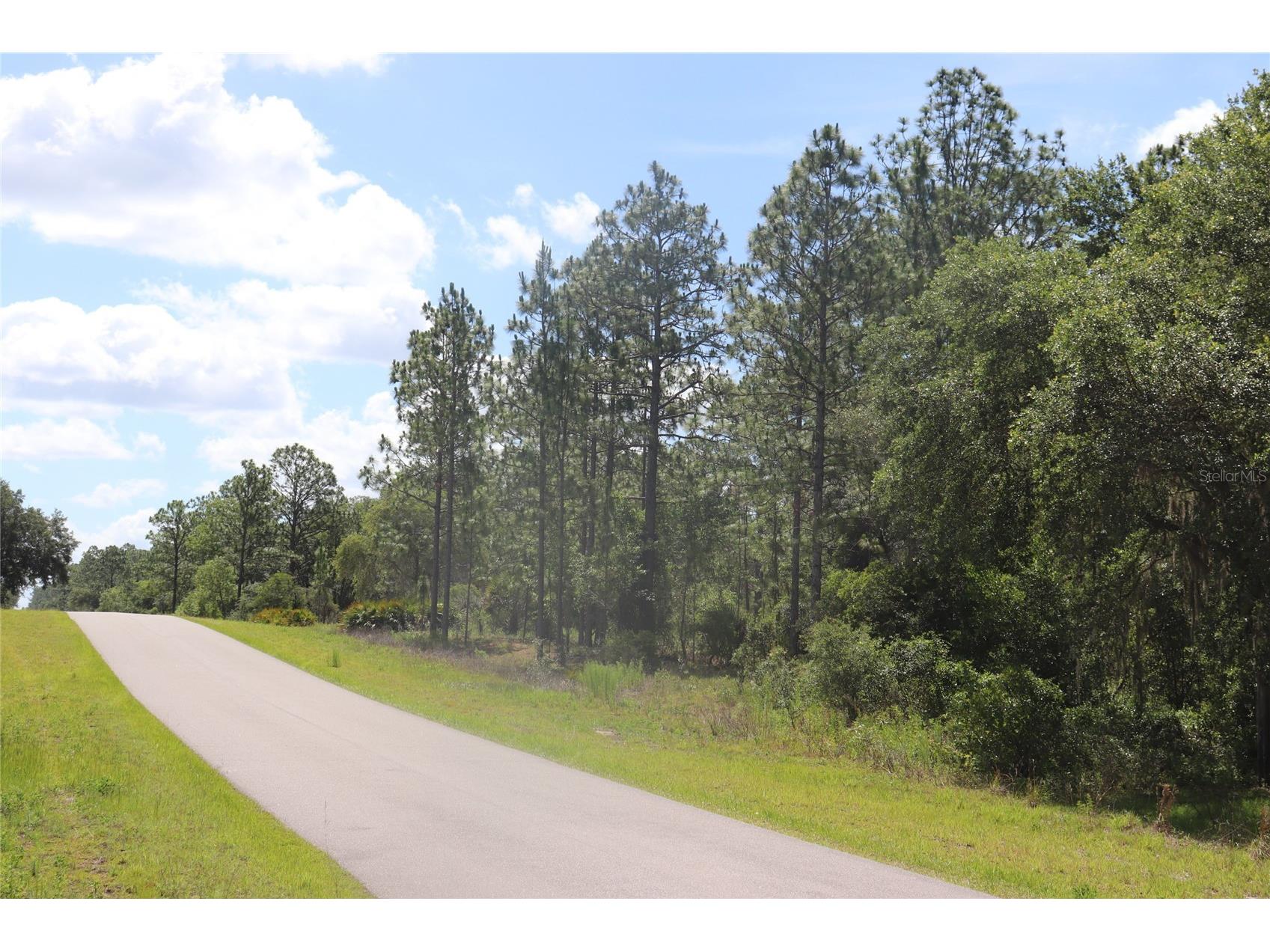 TBD Se 114th Place Dunnellon FL 34431 A4694127 image1