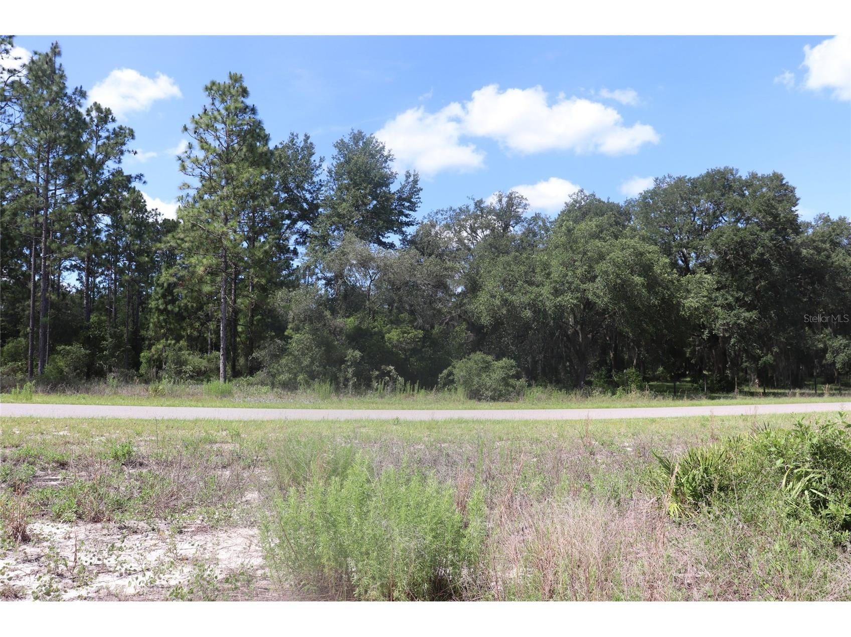 TBD Se 114th Place Dunnellon FL 34431 A4694127 image2